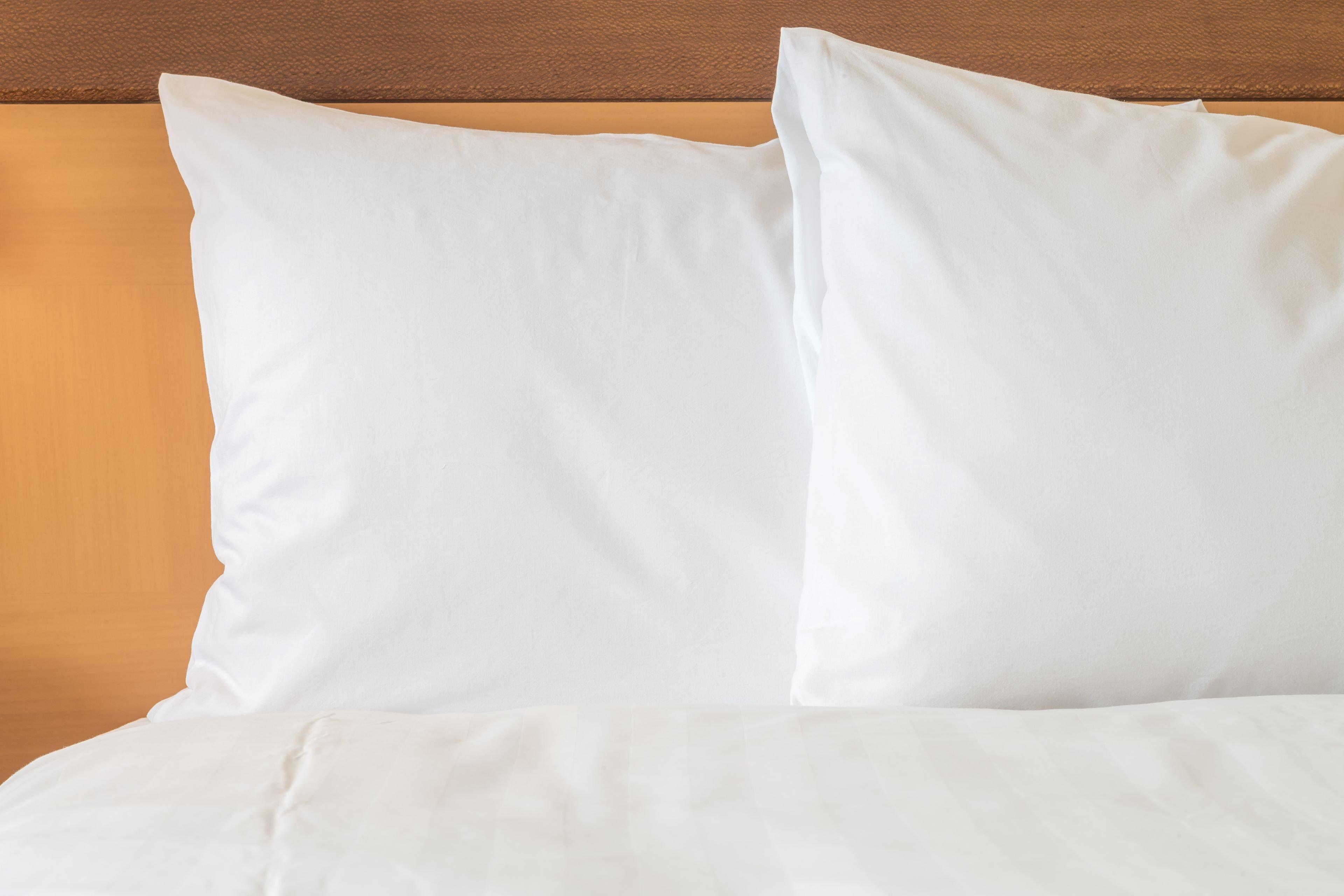 Holiday Inn Express Florence Northeast By Ihg Luaran gambar